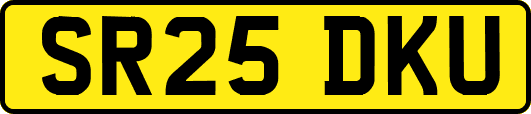 SR25DKU