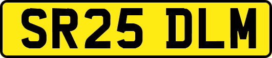 SR25DLM