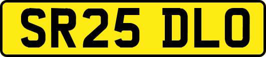 SR25DLO