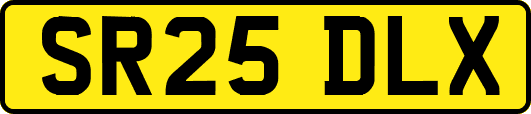 SR25DLX