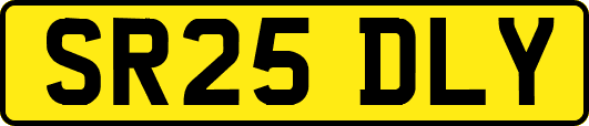 SR25DLY