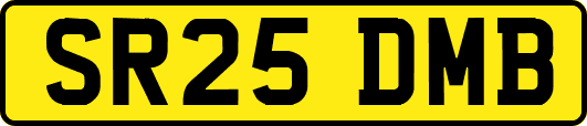 SR25DMB
