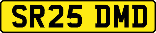 SR25DMD