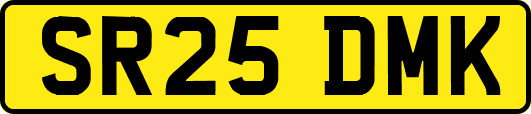 SR25DMK