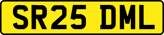 SR25DML
