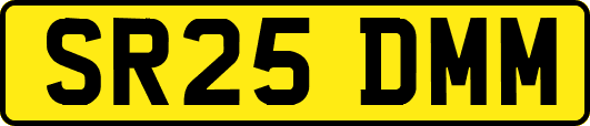SR25DMM