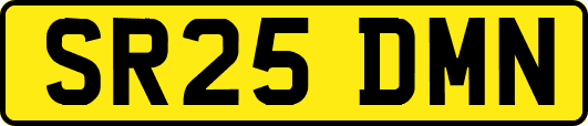 SR25DMN