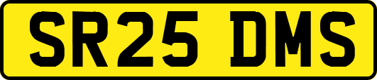 SR25DMS