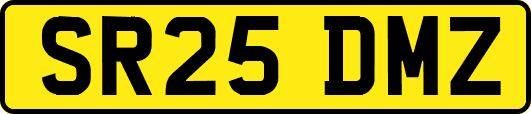 SR25DMZ