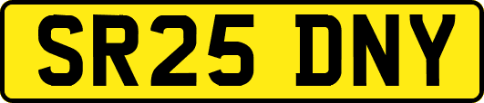 SR25DNY