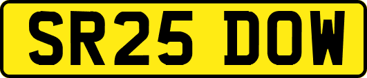 SR25DOW