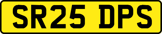 SR25DPS