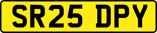 SR25DPY