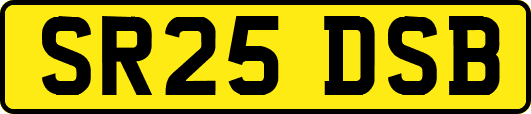 SR25DSB