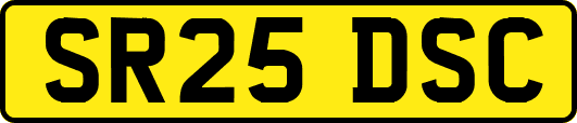 SR25DSC