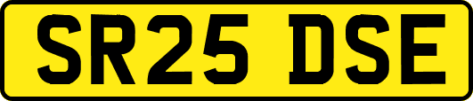 SR25DSE