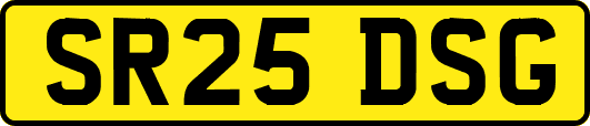 SR25DSG