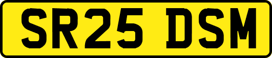 SR25DSM