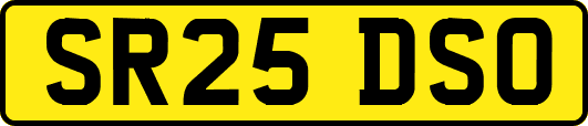 SR25DSO
