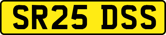 SR25DSS