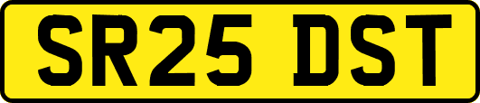 SR25DST