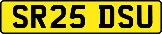 SR25DSU