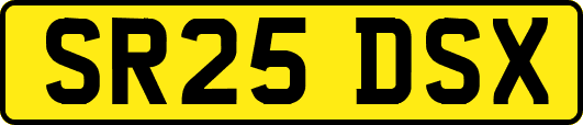 SR25DSX