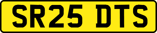 SR25DTS