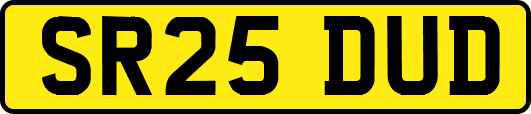 SR25DUD
