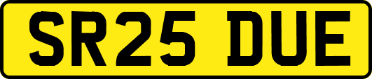 SR25DUE
