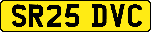 SR25DVC