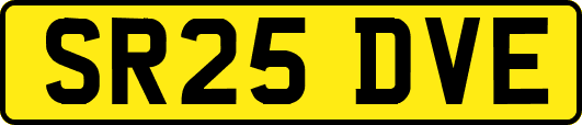 SR25DVE