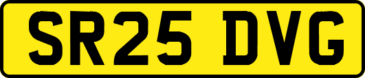 SR25DVG