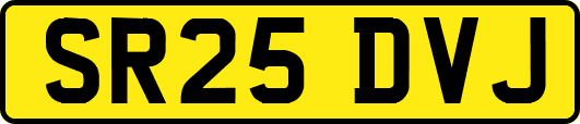 SR25DVJ