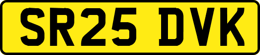 SR25DVK
