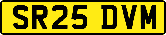 SR25DVM