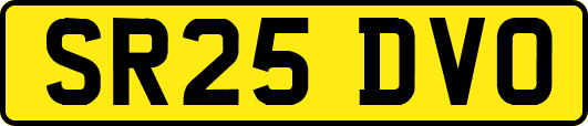 SR25DVO