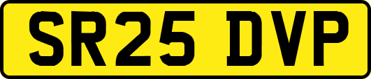 SR25DVP