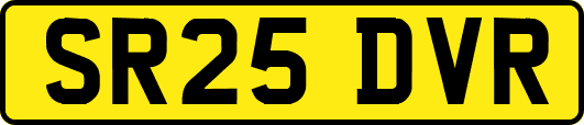SR25DVR