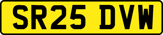 SR25DVW