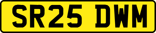 SR25DWM