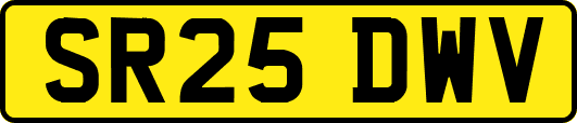 SR25DWV