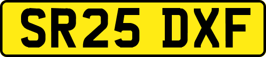 SR25DXF