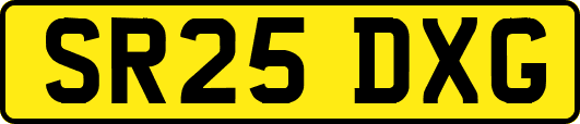 SR25DXG