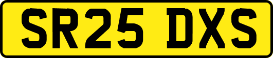SR25DXS