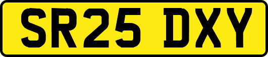 SR25DXY