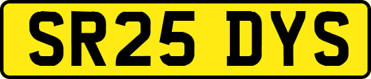 SR25DYS