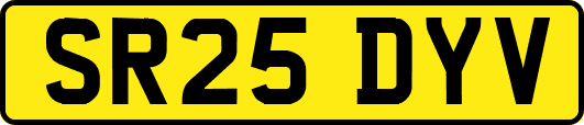 SR25DYV