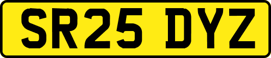 SR25DYZ