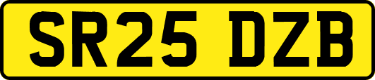 SR25DZB